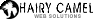 Web Design Sydney